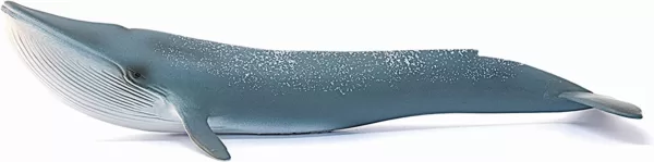 Schleich 14806 - Blauwal, 79 x 3.98 x 1.93 inch – Bild 3