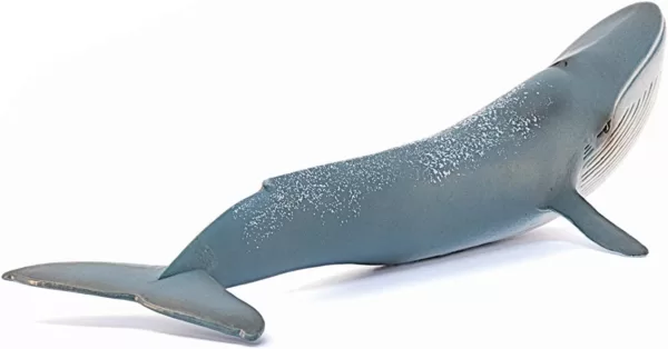 Schleich 14806 - Blauwal, 79 x 3.98 x 1.93 inch – Bild 5